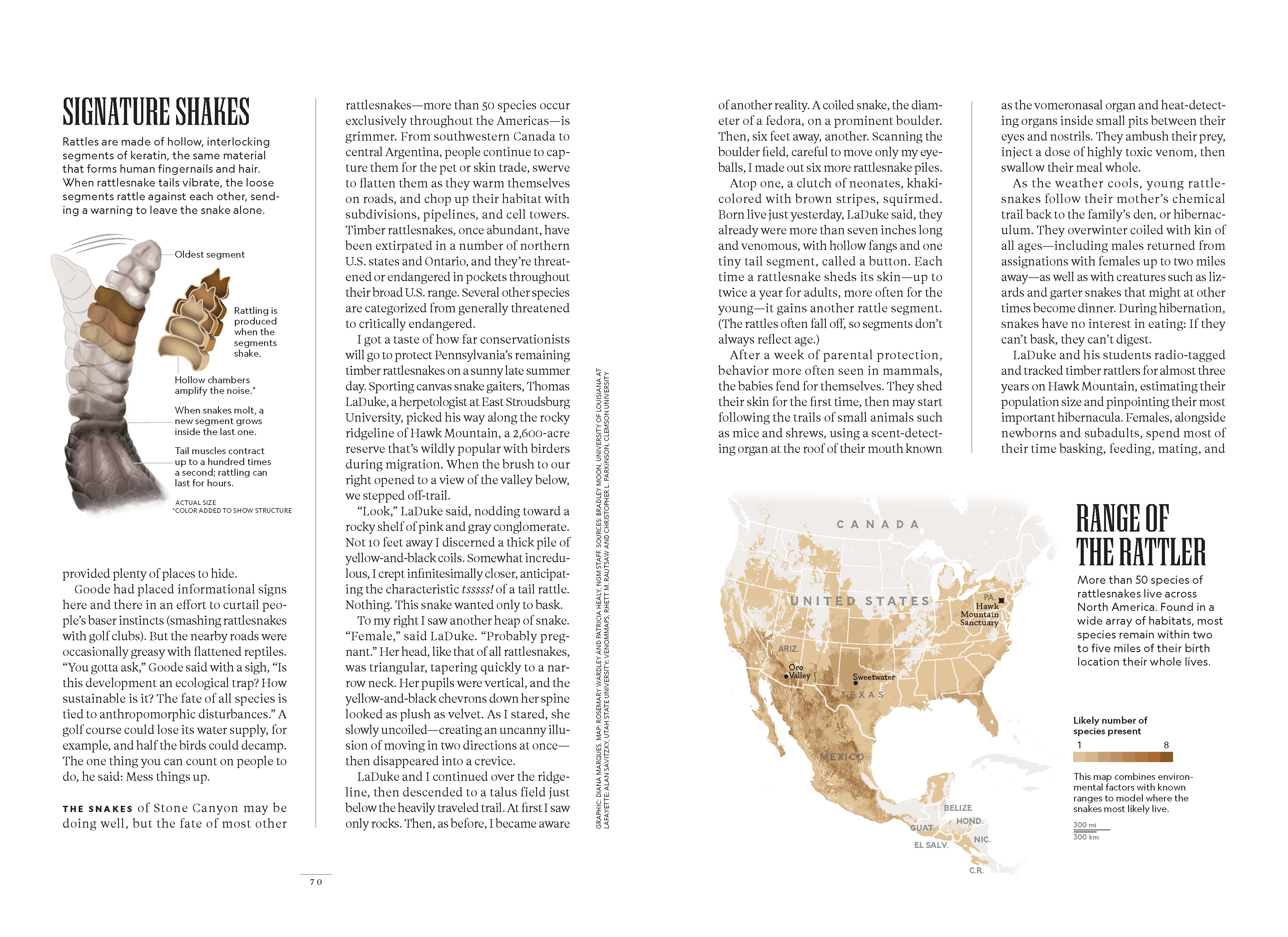 Rattlesnakes of the U.S. map